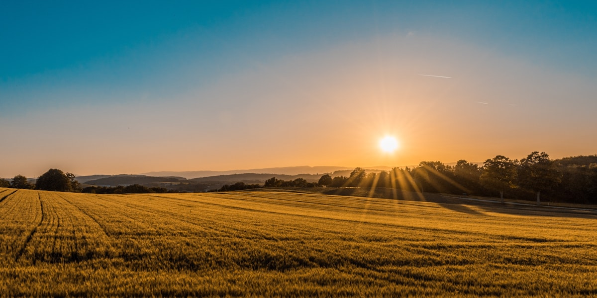 Camping near Wasaga Beach