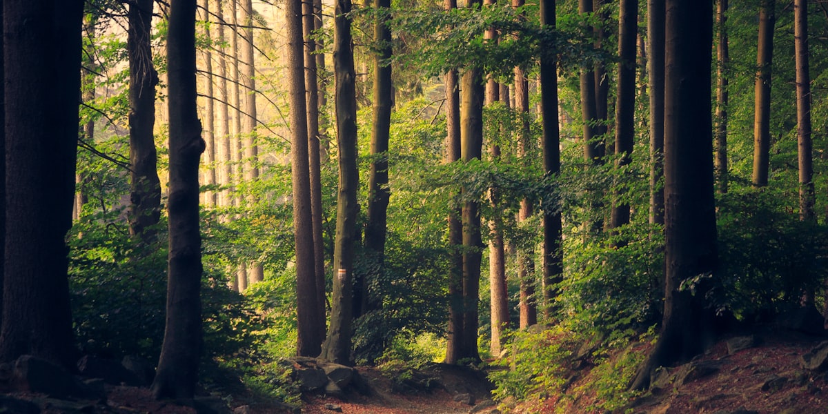 Nature trails Wasaga Beach